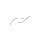 Renaissance Grace Services main Logo